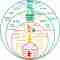 Reinventing Organizations model van Frederic Laloux