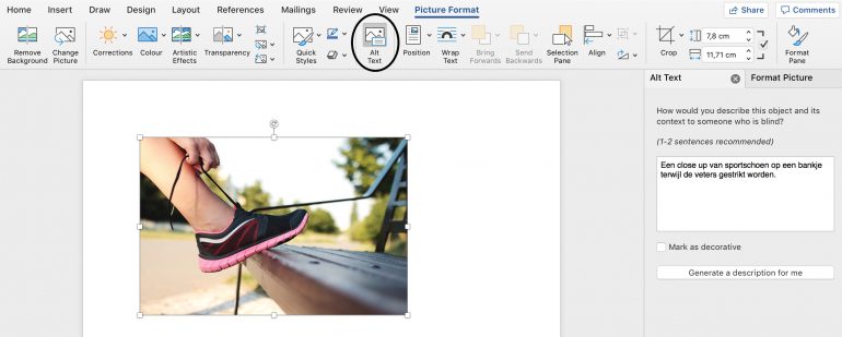 voorbeeld van het plaatsen van een alternatieve beschrijving in Word