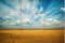 horizon in thumbnail
