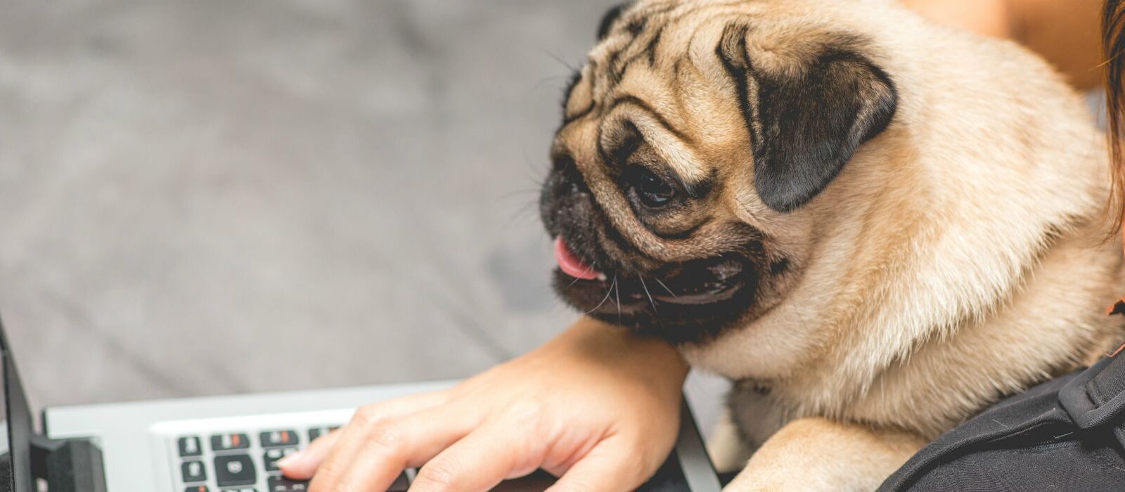 7 tips om productief thuis te werken [infographic]