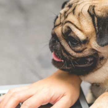 7 tips om productief thuis te werken [infographic]