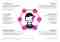 CX_Framework_Kirkman_Company framework klantbeleving