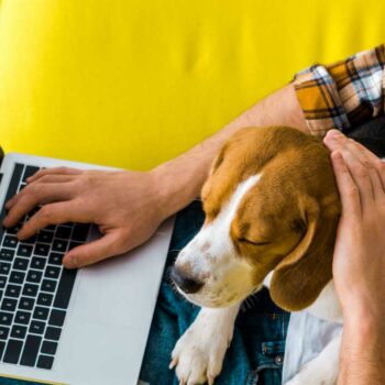 Online (net)werken: 8 lessen van een digital nomad