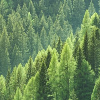 Gebruik de Sustainable Development Goals om écht een nieuwe weg in te slaan