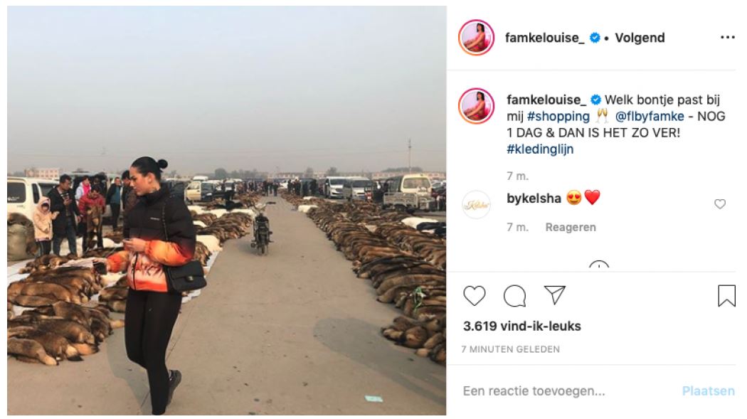 De beste bedrijven op social media in 2020 winnaar.