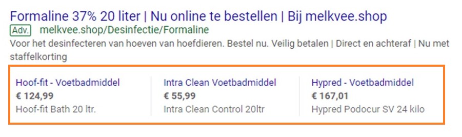 Advertentie in Google Ads.