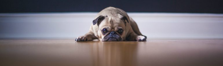 Zoom-vermoeidheid & Hangout-hangover: 5 tips om het tegen te gaan