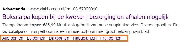 Voorbeeld 2: website informatie-extensie