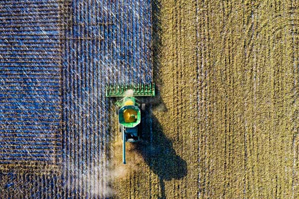 Machine oogst van het land.