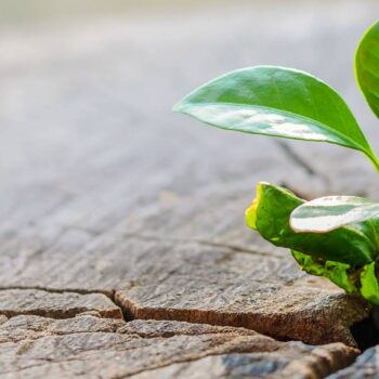 B2B-marketing in 2020: verbinding met de online klant [onderzoek]