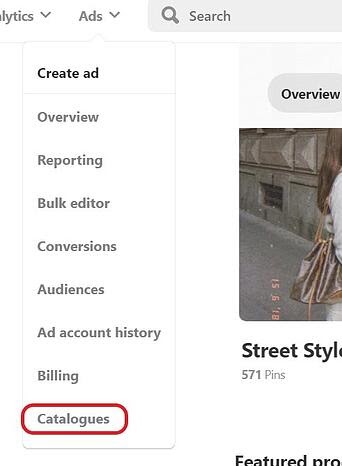 Catalogus pinterest selecteren advertenties