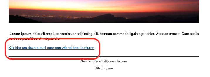Stuur deze nieuwsbrief door-optie
