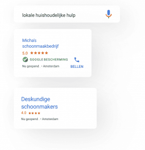 google bescherming badge