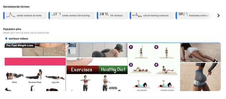 Met Pinterest Trends ontdek je gemakkelijk gerelateerde zoektermen en kun je laten inspireren door populaire pins.