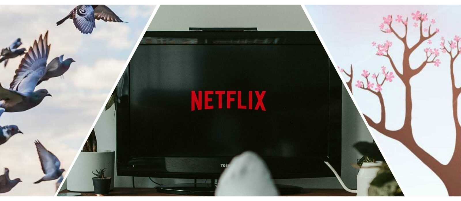 10x populair: seasonal SEO, profielverrijking & de verbluffende cultuur van Netflix