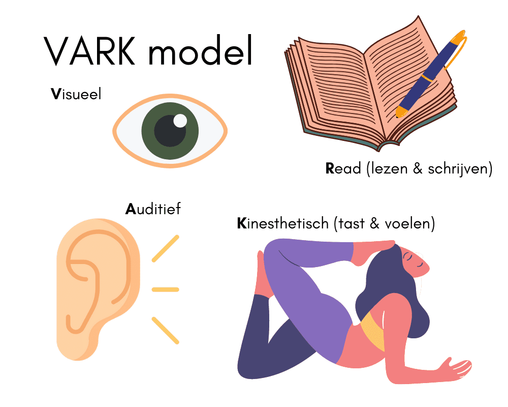 Visuele weergave VARK model