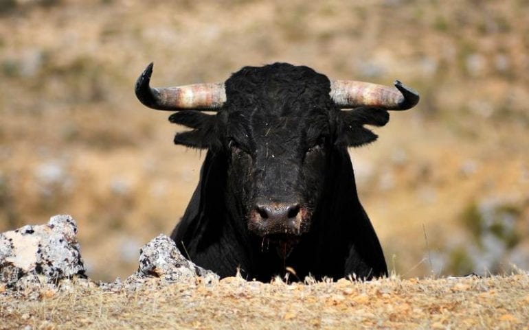 Cryptovaluta stier
