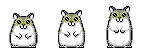 hamsterdans