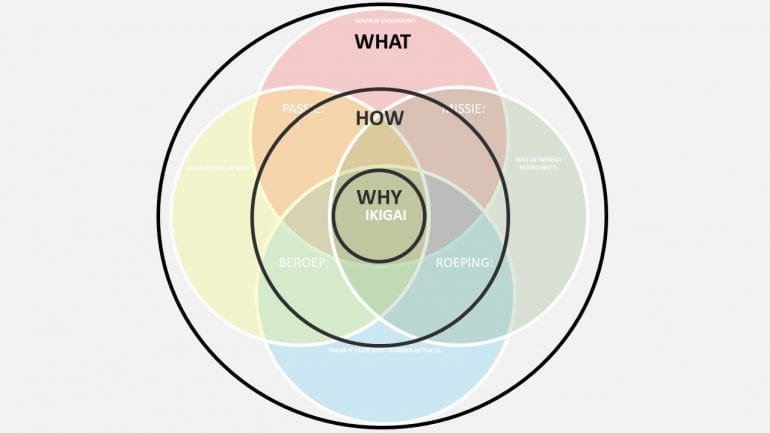 IKIGAI - met Golden Circle - Ronald Faas