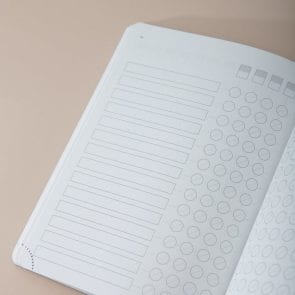 Afbeelding uit het Theme Journal.