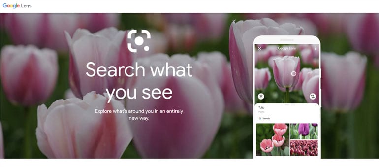 Visual search via Google Lens.