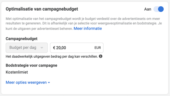 Optimalisatie van campagnebudget