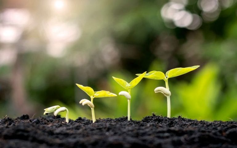 growth