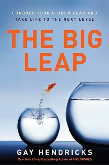 Boekcover The Big Leap.