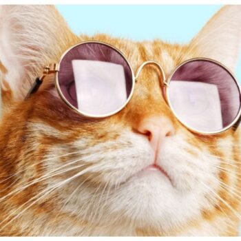 10x populair: online trends, verprutste teksten & burn-outs
