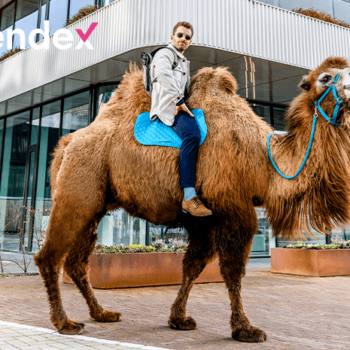 BetterMatter en Addurance ontwikkelen nieuwe campagne Lendex