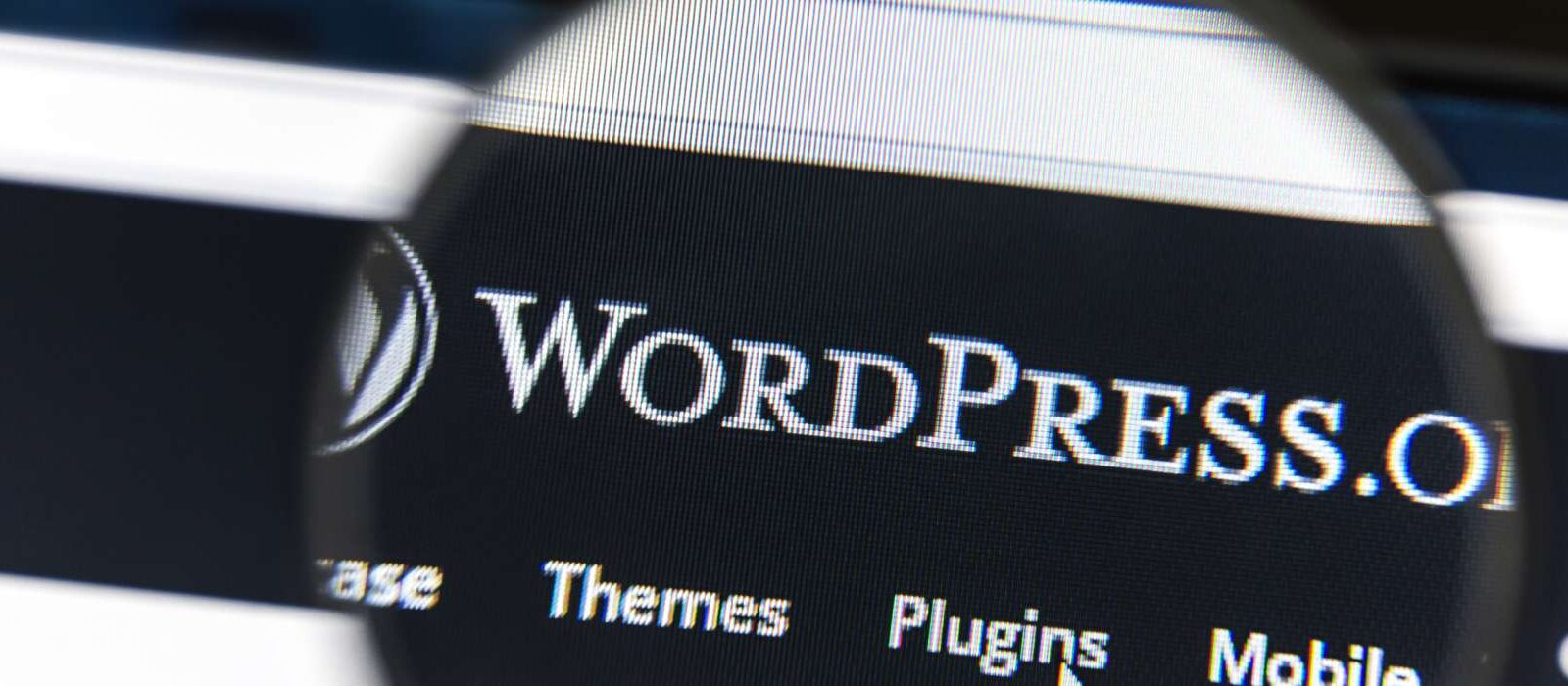 WordPress alleen voor bloggers? Zeker niet! [2 misvattingen]