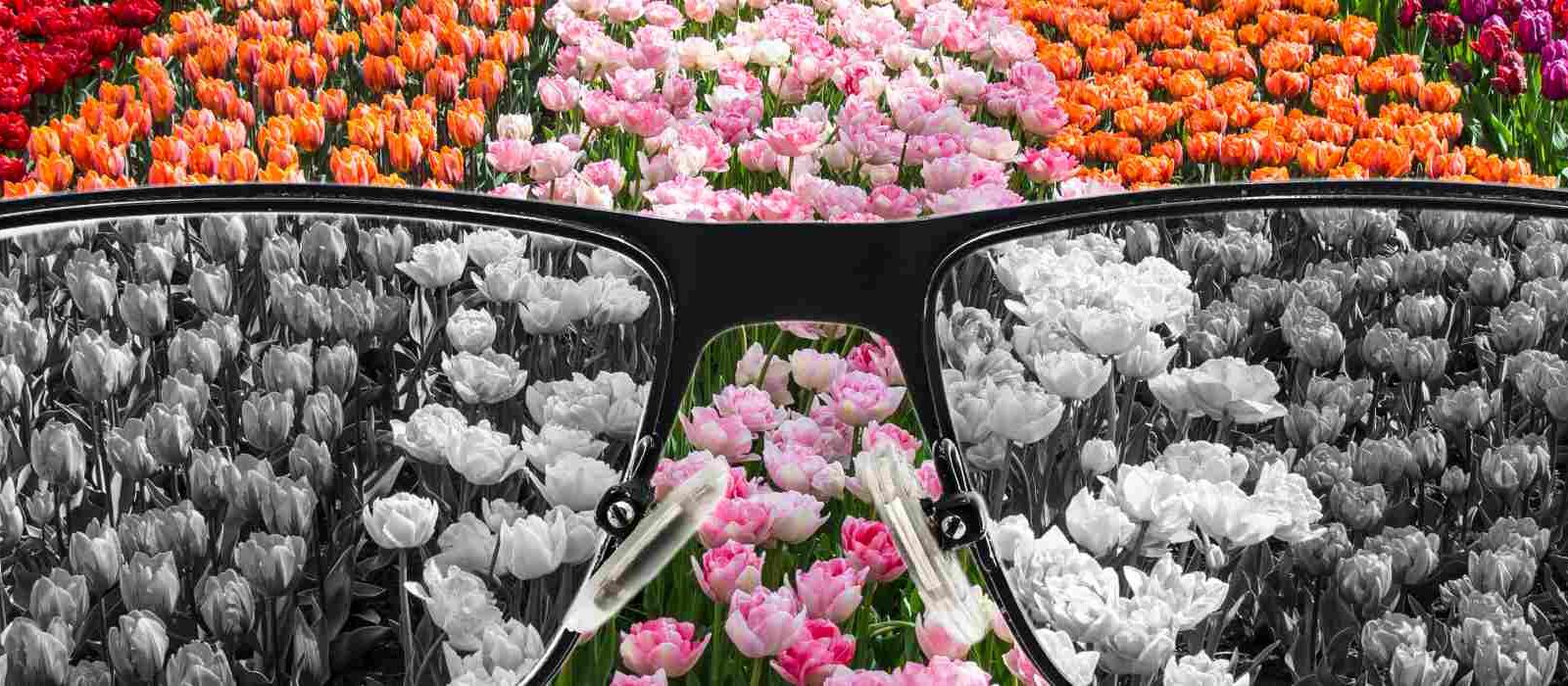 Webdesign voor kleurenblinden: 5 praktische tips