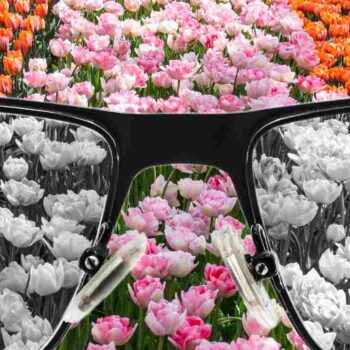 Webdesign voor kleurenblinden: 5 praktische tips