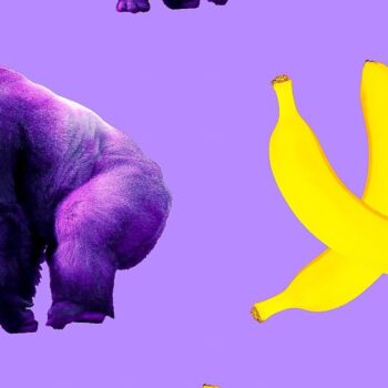 Je banaan in 10 minuten thuisbezorgd: is het concept ‘flitsbezorgers’ houdbaar?