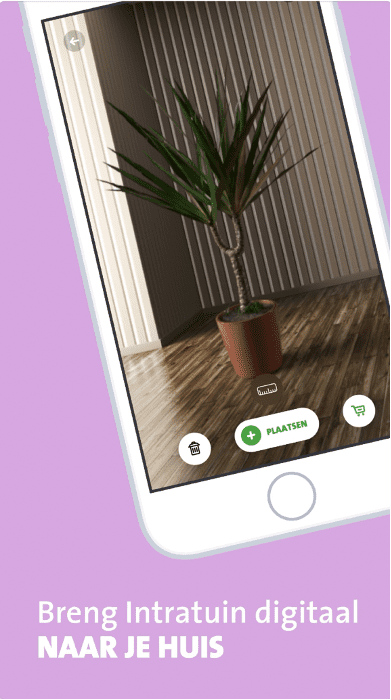 De intratuin app geopend op een telefoon waarin iemand door middel van Augmented Reality een plant plaatst in een ruimte. 