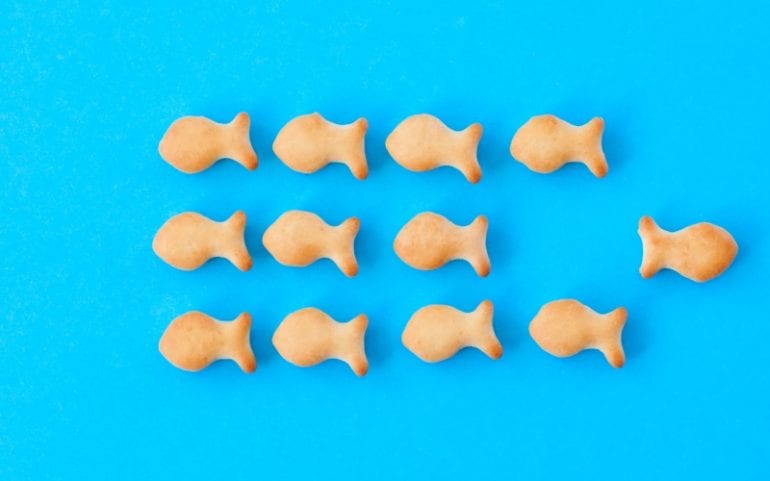 Groepsdenken versus individueel denken: vis zwemt in tegengestelde richting van de groep