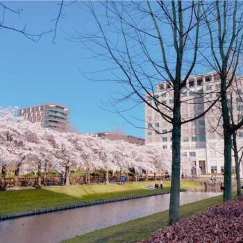 Pearl Abyss versterkt positie in het Westen met opening van Europees hoofdkantoor