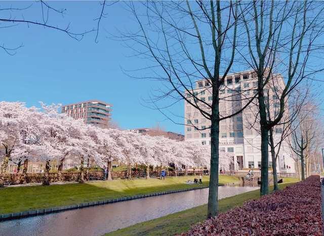 Pearl Abyss versterkt positie in het Westen met opening van Europees hoofdkantoor