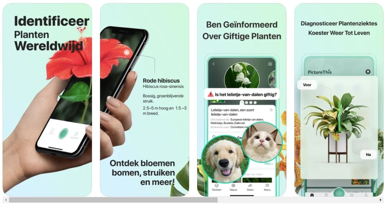 Screenshot van PictureThis.