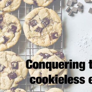 De Cookieless Era komt eraan