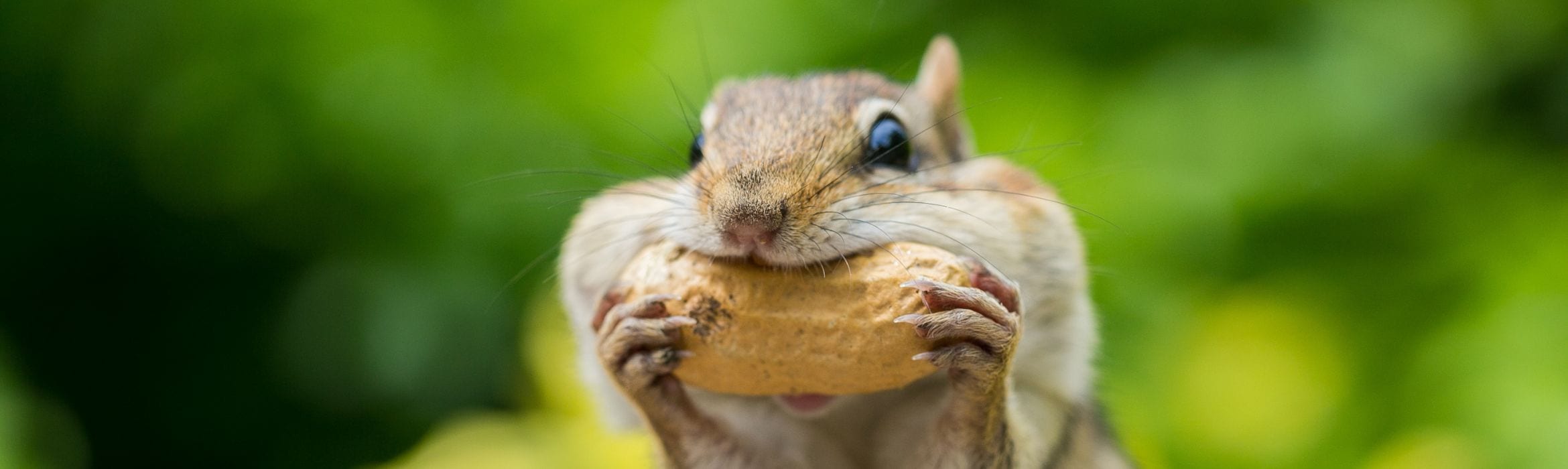 Hoeveel energie verslindt cryptocurrency? Bitcoin vs. het milieu -  Frankwatching