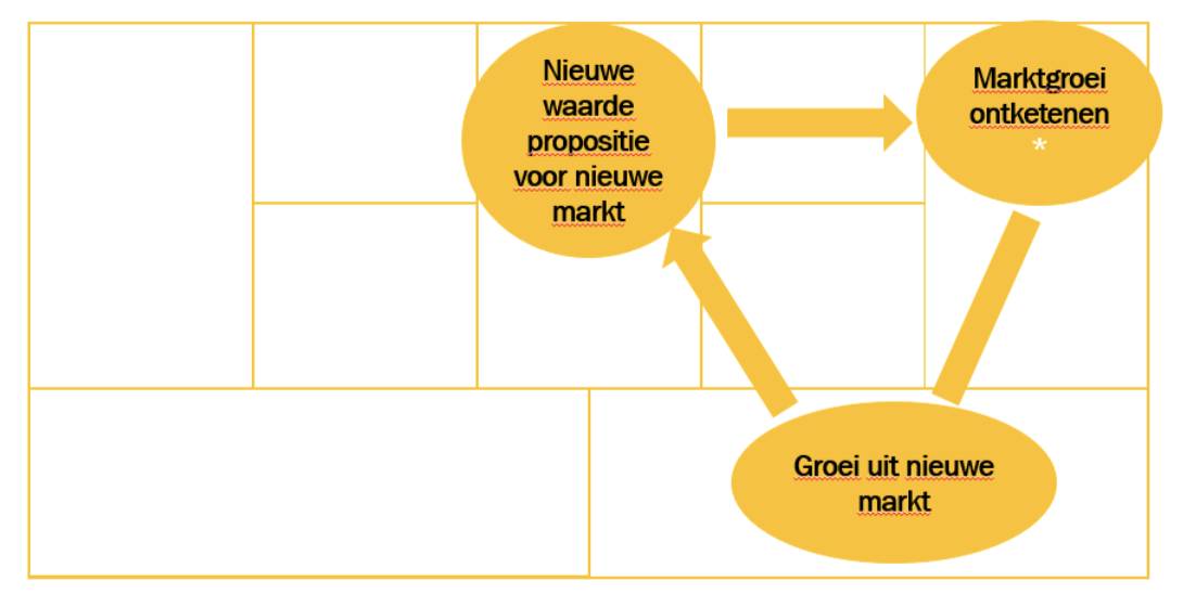 De groeistrategie van de Visionairs in een schema.