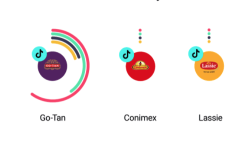 Maturitymodel TikTok