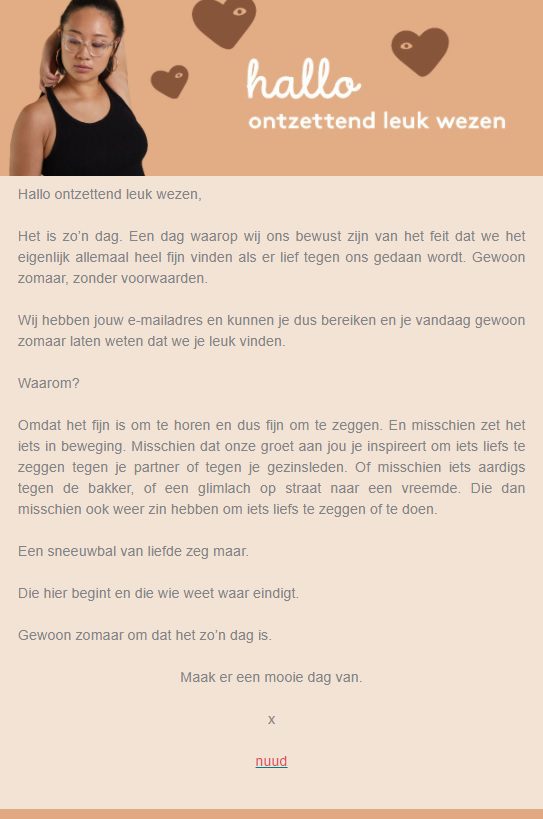 Voorbeeld originele nieuwsbrief