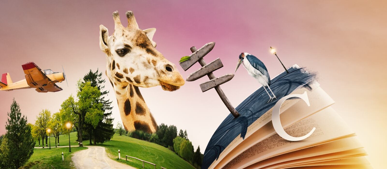 De 5 do’s voor storytelling op social media [+ voorbeelden]