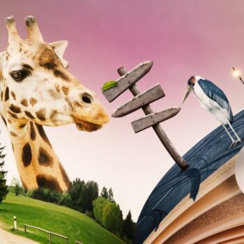 De 5 do’s voor storytelling op social media [+ voorbeelden]