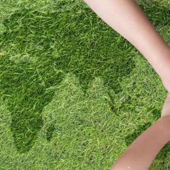 Van groene intentie naar gedrag: hoe consumenten the green gap overbruggen