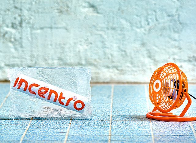 Zestien jaar groei voor Incentro