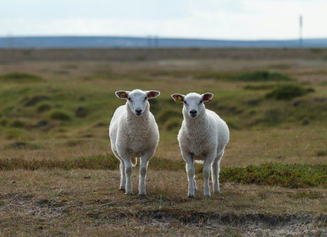 80% van alle nieuwe integratiedata in CRM’s is dubbel