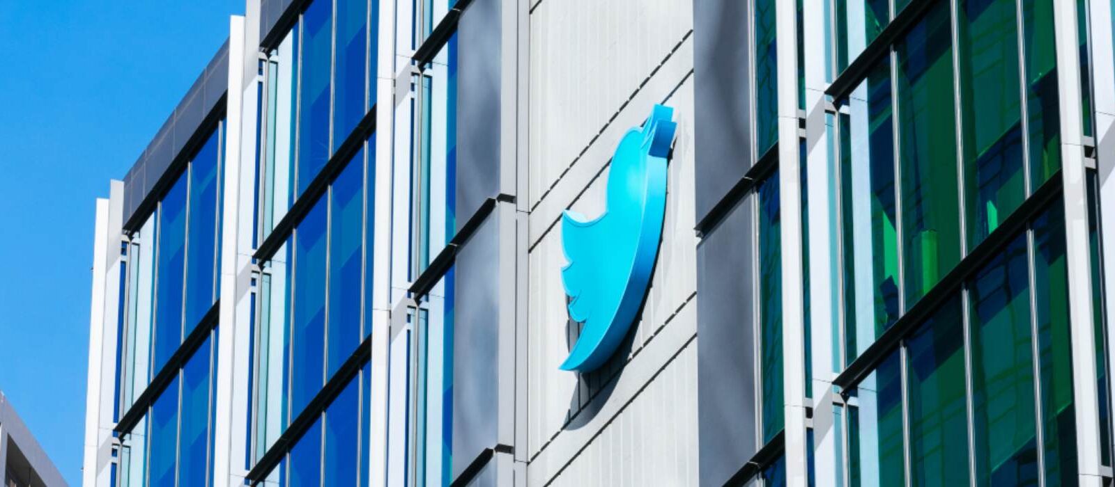 Elon Musk koopt Twitter: tijd om het platform te verlaten?